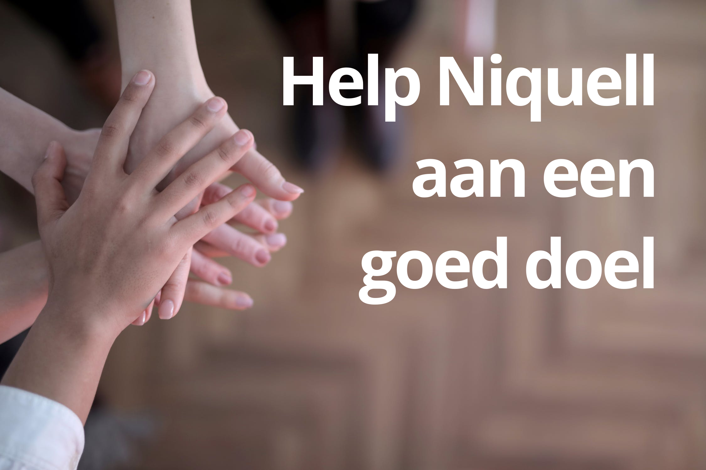 Lees meer over het artikel Kerstactie: Help Niquell aan een goed doel