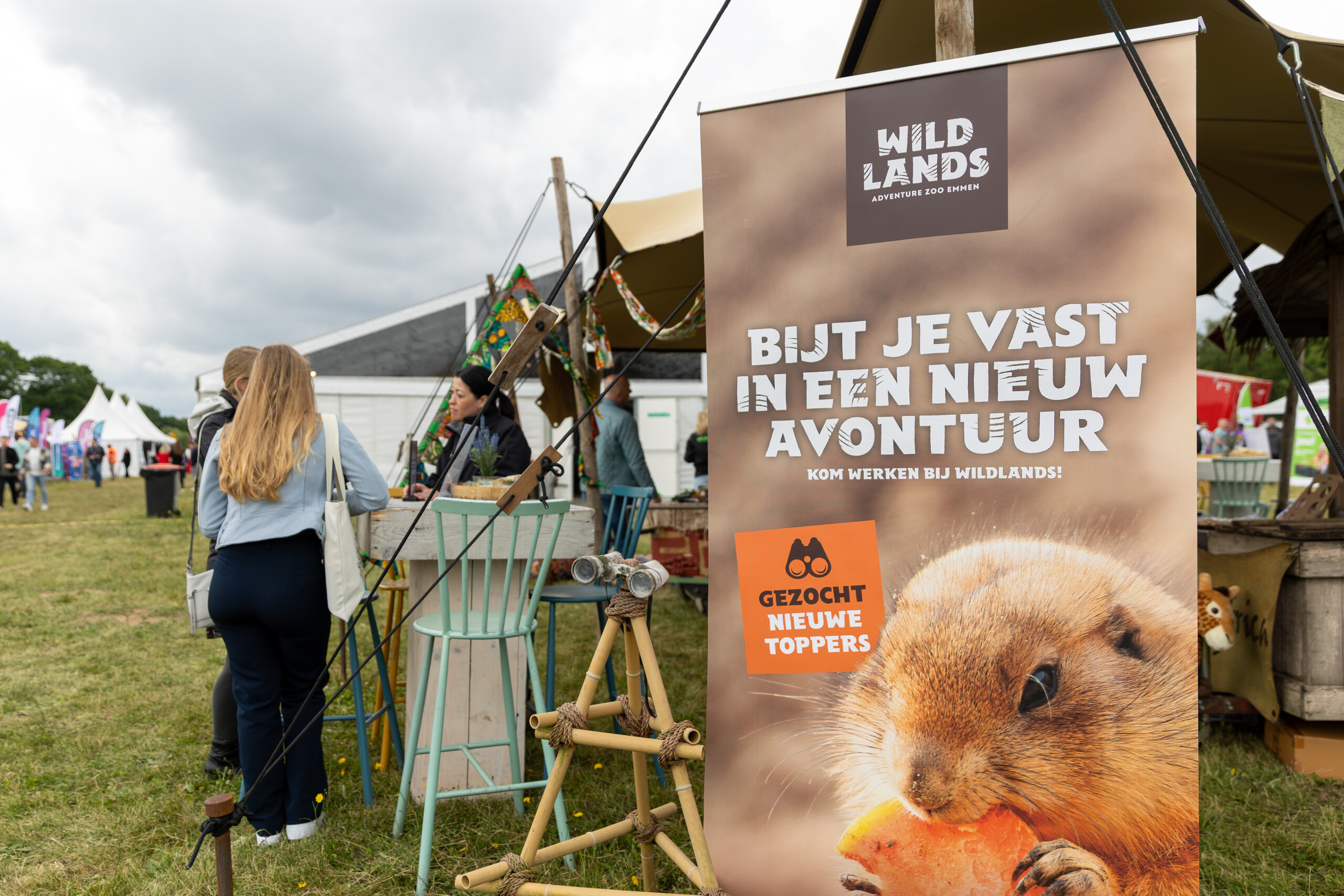  Mederwerkers in het zonnetje